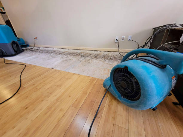 Professional Water Removal technician working in Stanhope, NJ
